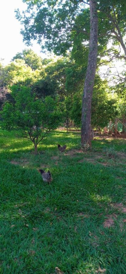 Chales Jardim Da Serra Serra do Cipo National Park Dış mekan fotoğraf